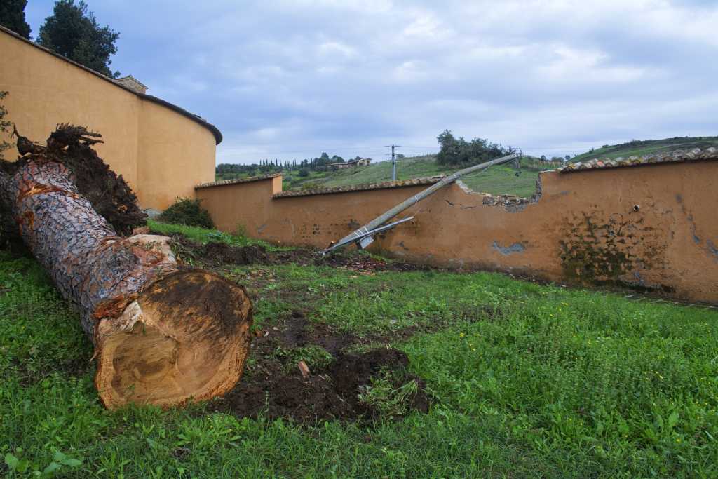 La paura della natura